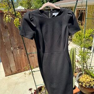 Calvin Klein size 2 Black Sheath Dress